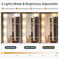 Sikaic Makeup Vanity LED Makeup Vanity with Mirror Charging Station Open Storage Shelves 3-Compartment Organizer White