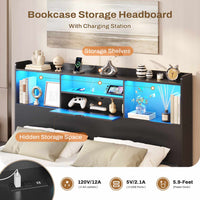 Sikaic Bed Frame Queen Floating Bed Frame with LED Lights and Headboard Storage Black Black / Queen / Engineered Wood