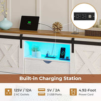 Sikaic Bed Twin Size Bed Frame with 2 Storage Drawers and LED Lights White White / Twin / Engineered Wood