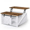 Sikaic Coffee Table 31.5 Inches Lift Top Coffee Table with Hidden Storage White White / Modern