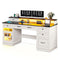 Sikaic Gaming Desk Executive Gaming Desk with LED Lights White White / Engineered Wood / Modern