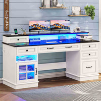 Sikaic Gaming Desk Executive Gaming Desk with LED Lights White White / Engineered Wood / Modern