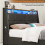 Sikaic Bed Frame 4 Storage Drawers LED Bed Frame with Charging Station Black