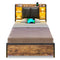 Sikaic Bed Frame Twin LED Bed Frame with Storage Headboard Black Brown / Twin / Engineered Wood