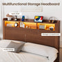 Sikaic Bed Frame Sikaic Fluted Wood Bed Frame with Storage & LED Lights Walnut Walnut / Engineered Wood / Modern