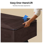 Sikaic Coffee Table 47.2" Modern Lift Top Coffee Table with Storage Compartment Walnut Walnut / Engineered Wood / Modern