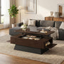 Sikaic Coffee Table 47.2" Modern Lift Top Coffee Table with Storage Compartment Walnut Walnut / Engineered Wood / Modern