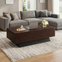 Sikaic Coffee Table 47.2" Modern Lift Top Coffee Table with Storage Compartment Walnut Walnut / Engineered Wood / Modern