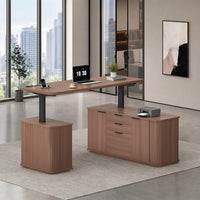 Sikaic Computer Desk L Shaped Electric Standing Desk with Storage Walnut Walnut / Engineered Wood / Modern