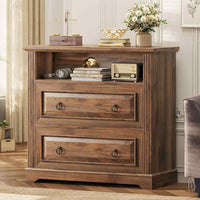 Sikaic File Cabinet File Cabinet with Printer Stand and 2 Drawers Brown Brown / Engineered Wood / Farmhouse