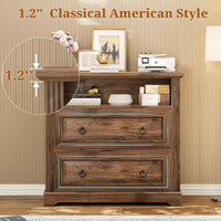 Sikaic File Cabinet File Cabinet with Printer Stand and 2 Drawers Brown Brown / Engineered Wood / Farmhouse