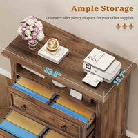 Sikaic File Cabinet File Cabinet with Printer Stand and 2 Drawers Brown Brown / Engineered Wood / Farmhouse