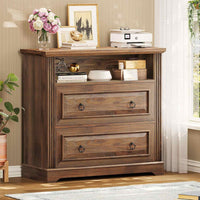 Sikaic File Cabinet File Cabinet with Printer Stand and 2 Drawers Brown Brown / Engineered Wood / Farmhouse