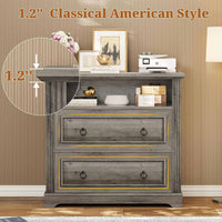 Sikaic File Cabinet File Cabinet with Printer Stand and 2 Drawers Grey Grey / Engineered Wood / Farmhouse