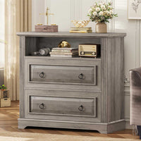 Sikaic File Cabinet File Cabinet with Printer Stand and 2 Drawers Grey Grey / Engineered Wood / Farmhouse
