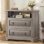 Sikaic File Cabinet File Cabinet with Printer Stand and 2 Drawers Grey Grey / Engineered Wood / Farmhouse