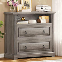 Sikaic File Cabinet File Cabinet with Printer Stand and 2 Drawers Grey Grey / Engineered Wood / Farmhouse
