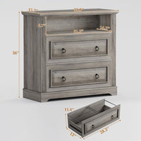 Sikaic File Cabinet File Cabinet with Printer Stand and 2 Drawers Grey Grey / Engineered Wood / Farmhouse