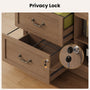Sikaic File Cabinet 2 Drawer File Cabinet with Lock Printer Shelf and Charging Station Walnut Walnut / Engineered Wood / Farmhouse
