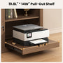 Sikaic File Cabinet 2 Drawer File Cabinet with Lock Printer Shelf and Charging Station Walnut Walnut / Engineered Wood / Farmhouse