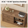 Sikaic File Cabinet 2 Drawer File Cabinet with Lock Printer Shelf and Charging Station Walnut Walnut / Engineered Wood / Farmhouse