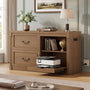 Sikaic File Cabinet 2 Drawer File Cabinet with Lock Printer Shelf and Charging Station Walnut Walnut / Engineered Wood / Farmhouse