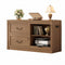 Sikaic File Cabinet 2 Drawer File Cabinet with Lock Printer Shelf and Charging Station Walnut Walnut / Engineered Wood / Farmhouse