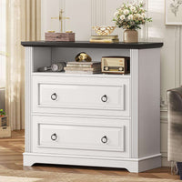 Sikaic File Cabinet File Cabinet with Printer Stand and 2 Drawers White White / Engineered Wood / Farmhouse