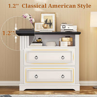 Sikaic File Cabinet File Cabinet with Printer Stand and 2 Drawers White White / Engineered Wood / Farmhouse