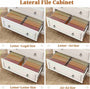 Sikaic File Cabinet File Cabinet with Printer Stand and 2 Drawers White White / Engineered Wood / Farmhouse