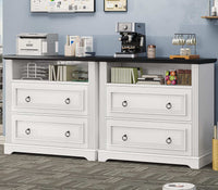 Sikaic File Cabinet File Cabinet with Printer Stand and 2 Drawers White White / Engineered Wood / Farmhouse