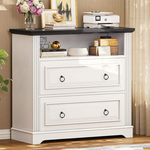 Sikaic File Cabinet File Cabinet with Printer Stand and 2 Drawers White White / Engineered Wood / Farmhouse
