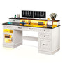 Sikaic Gaming Desk Executive Gaming Desk with LED Lights White White / Engineered Wood / Modern