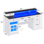 Sikaic Gaming Desk Executive Gaming Desk with LED Lights White White / Engineered Wood / Modern