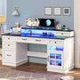Sikaic Gaming Desk Executive Gaming Desk with LED Lights White White / Engineered Wood / Modern