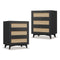 Sikaic Nightstand 2PCS Rattan Nightstand with Charging Station Black Black / Engineered Wood / Bohemian