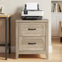 Sikaic Nightstand 22 Inch Farmhouse Nightstand with 2 Drawers Grey Oak Grey Oak / Engineered Wood / Farmhouse
