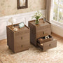 Sikaic Nightstand Set of 2 Nightstands with Hidden Drawer and Lockable Drawer Walnut Walnut / Engineered Wood / Mid-Century Modern