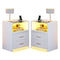 Sikaic Nightstand 2 Pack LED Nightstand with 2 Storage Drawers White White / Tempered Glass / Modern